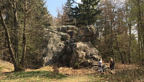 Die Quarzklippe „Altenstein“ wird von dem Schriftzug durch die Mitarbeiterinnen der Unteren Naturschutzbehörde befreit.